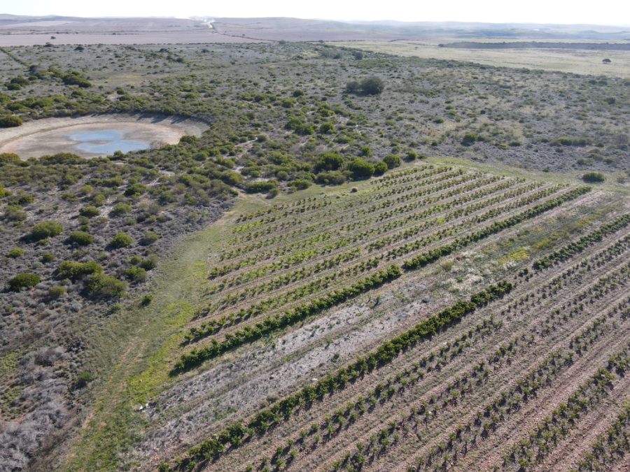 Commercial Property for Sale in Malgas Western Cape